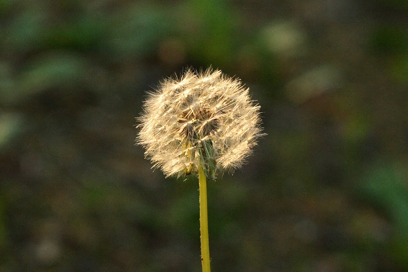 a0016775_22183326.jpg