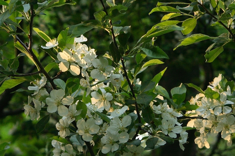 a0016775_2219425.jpg