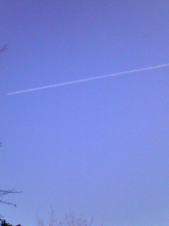 c0082785_1253263.jpg