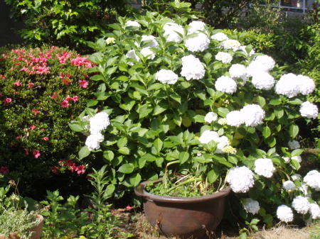 f0130894_2154115.jpg