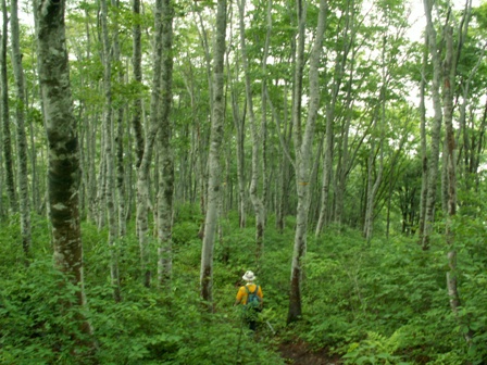 b0039898_15334270.jpg