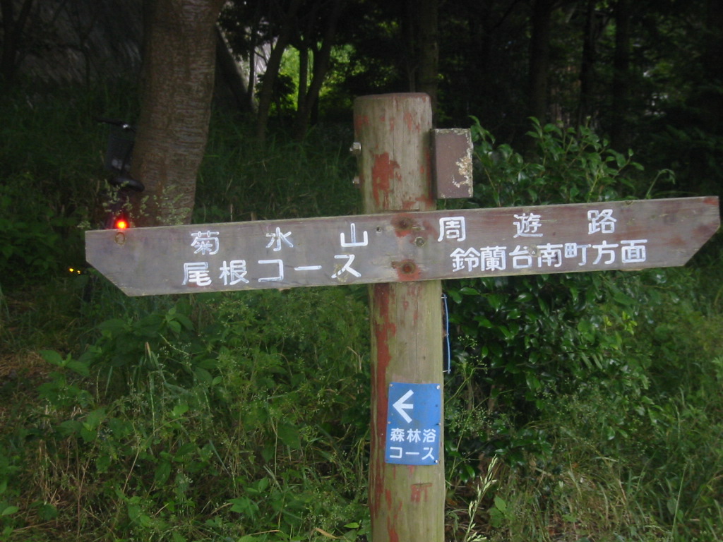 f0013998_5363059.jpg