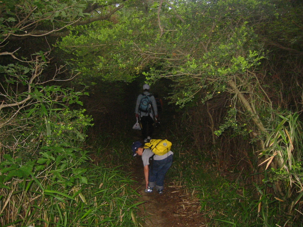 f0013998_5433129.jpg