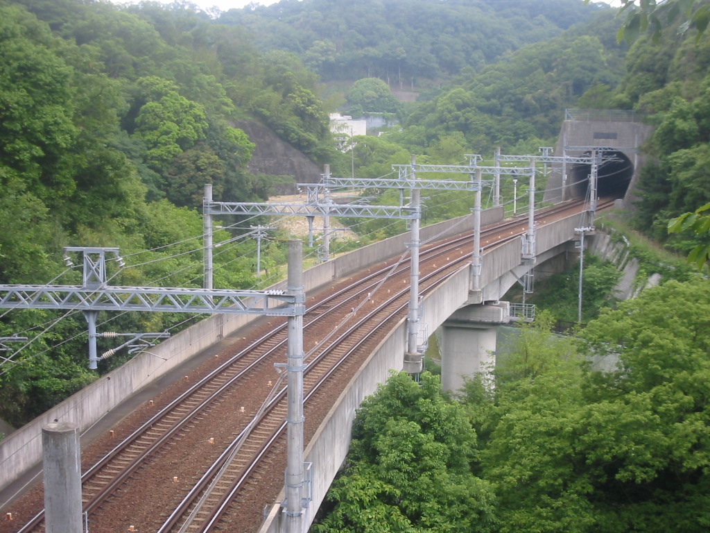 f0013998_5585048.jpg