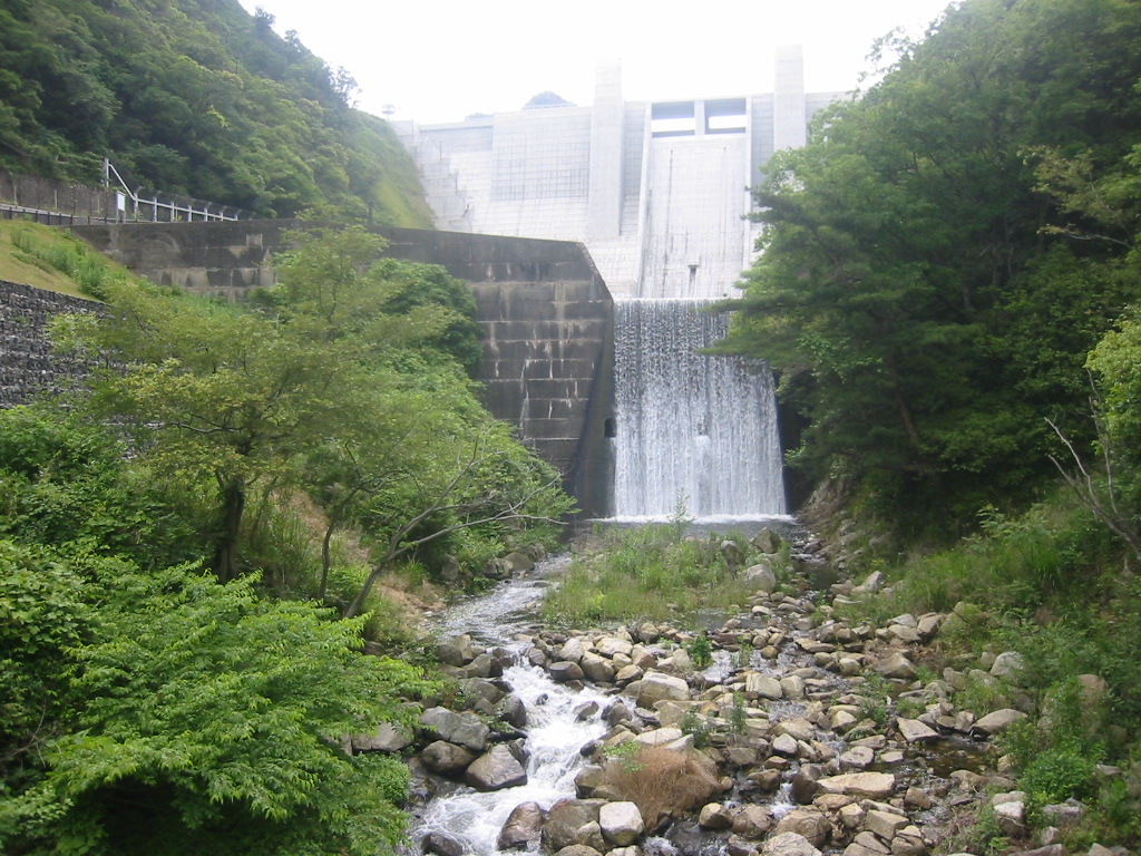 f0013998_55971.jpg