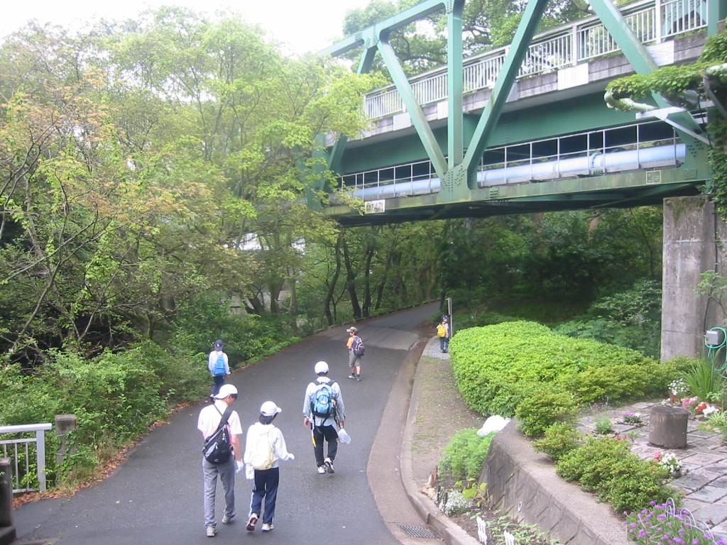 f0013998_60416.jpg
