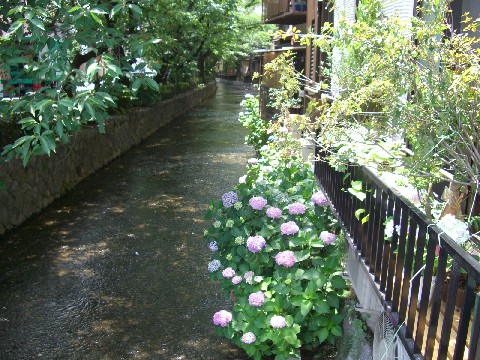 d0007913_2041993.jpg