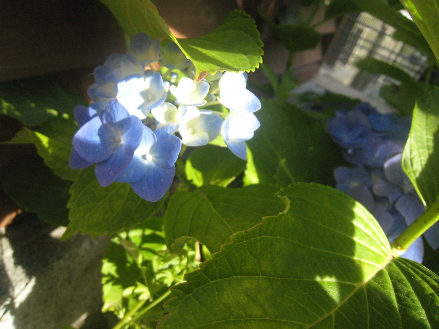 e0121228_2122969.jpg