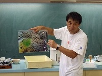 e0069234_8373979.jpg