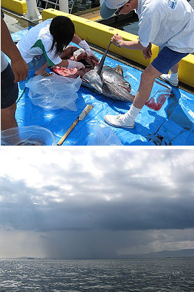 c0041039_9413929.jpg