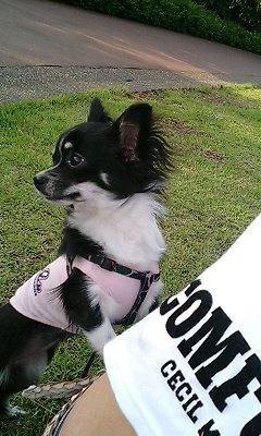 f0031839_1816091.jpg