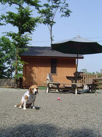 a0042044_2223857.jpg