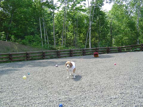 a0042044_2261429.jpg