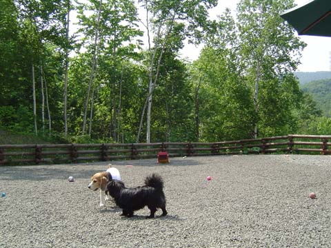 a0042044_227556.jpg