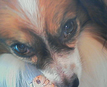 e0100046_22443455.jpg