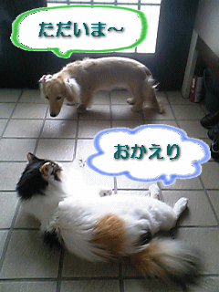 c0025852_1328427.gif