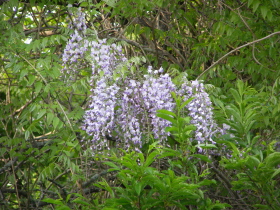 b0086858_17342420.jpg