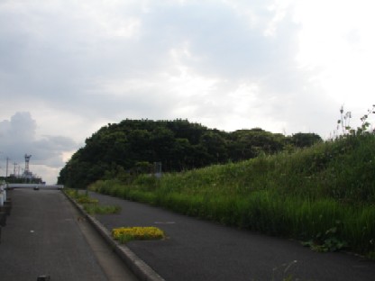 b0061261_8401853.jpg