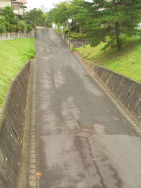 c0057662_5434585.jpg