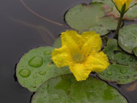 c0042869_16502763.jpg