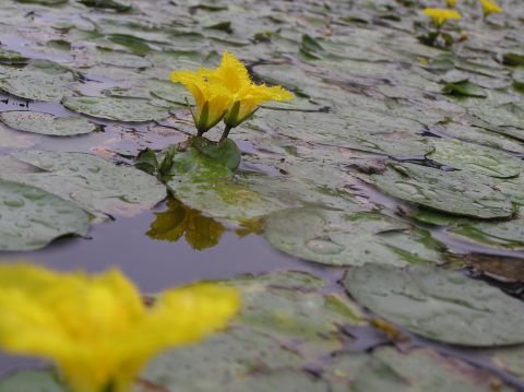 c0042869_16504913.jpg