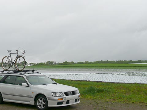 c0107075_6332210.jpg