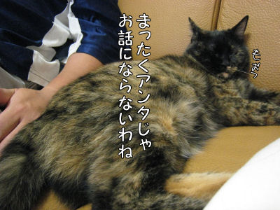 a0045990_1151330.jpg