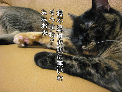 a0045990_18143.jpg