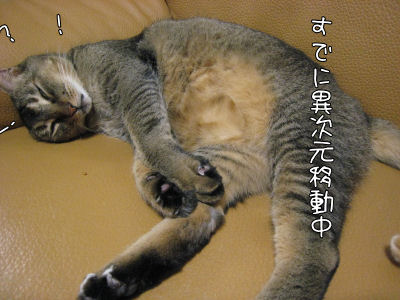 a0045990_182948.jpg