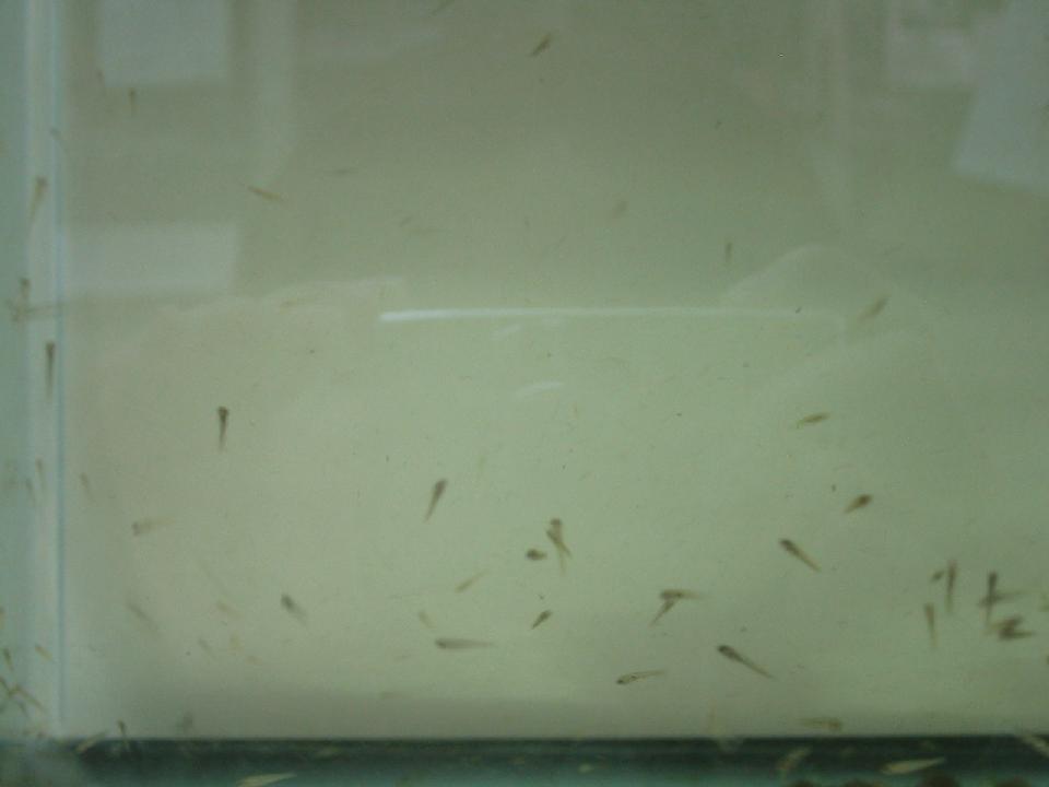 f0131491_16111335.jpg