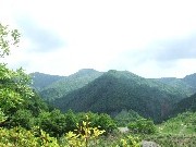 d0098792_7563598.jpg