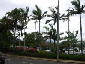 c0004193_17493119.jpg