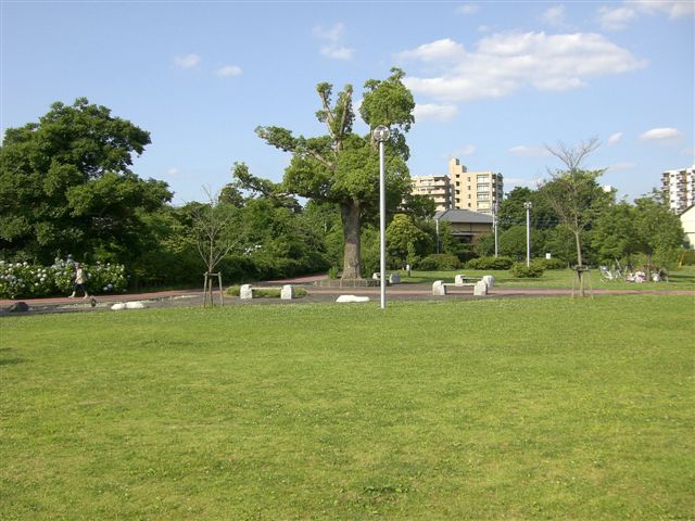 c0087001_23131390.jpg