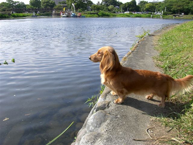 c0087001_2315482.jpg