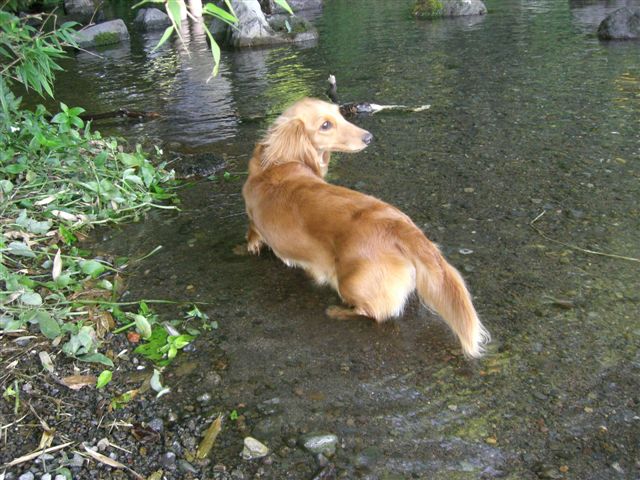 c0087001_23173753.jpg