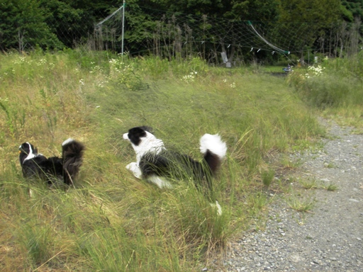 f0034602_19201781.jpg