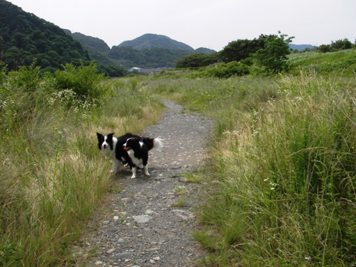 f0034602_19203757.jpg