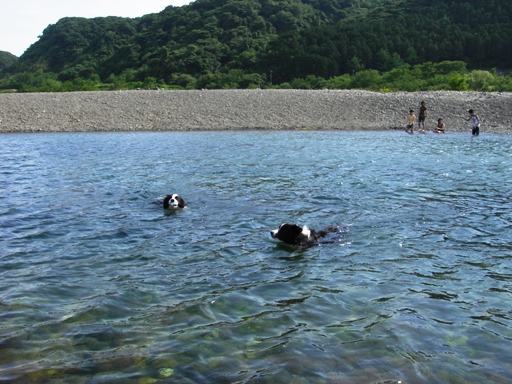 f0034602_1922464.jpg
