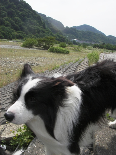 f0034602_19254295.jpg