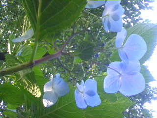 f0052603_22532327.jpg