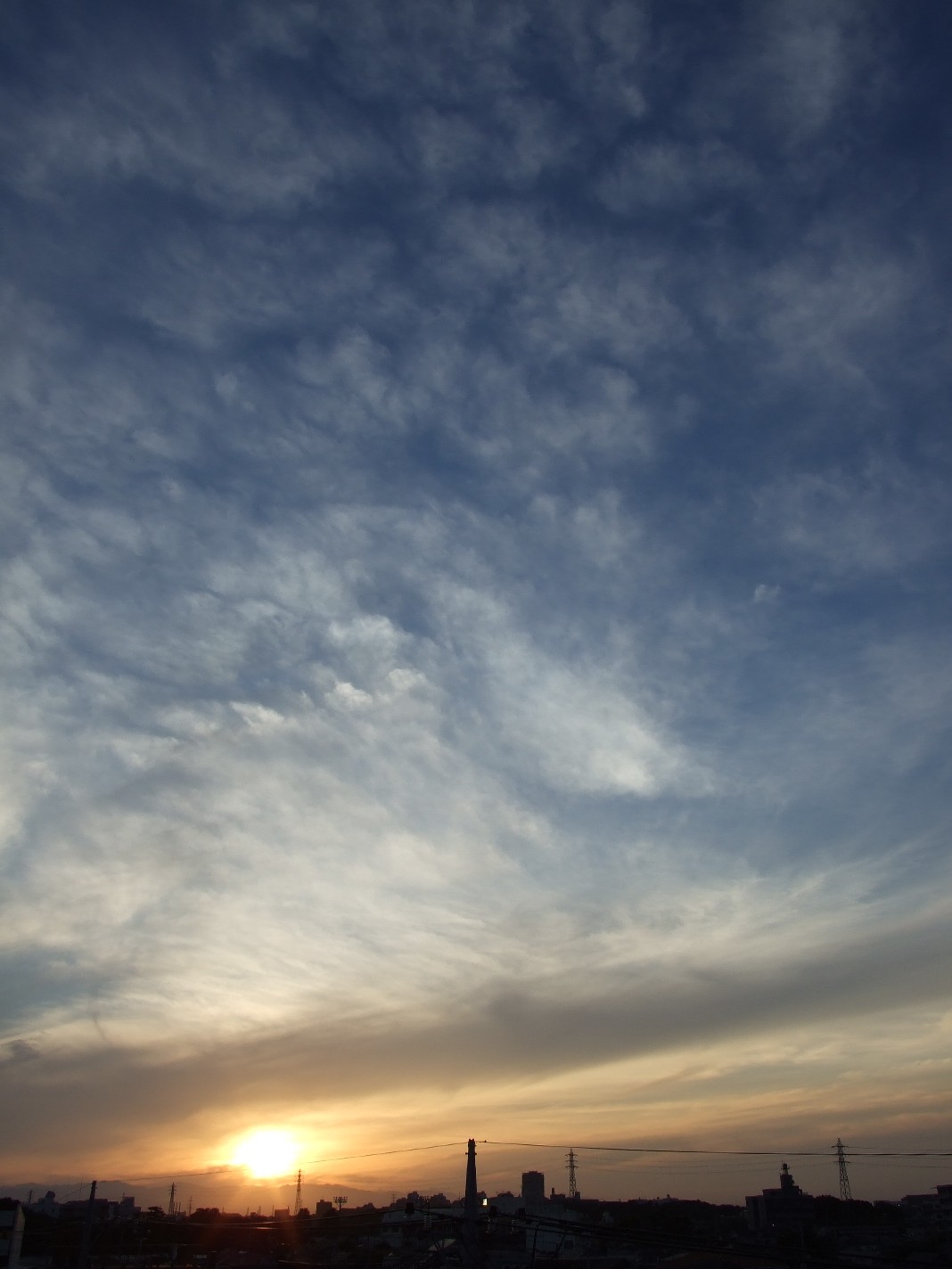b0061010_1359968.jpg