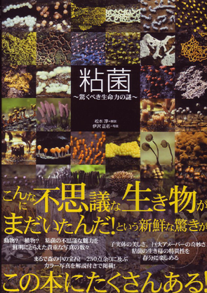 e0050813_21164299.jpg