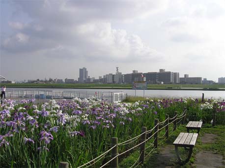 f0128723_015972.jpg