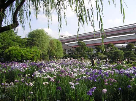 f0128723_051360.jpg
