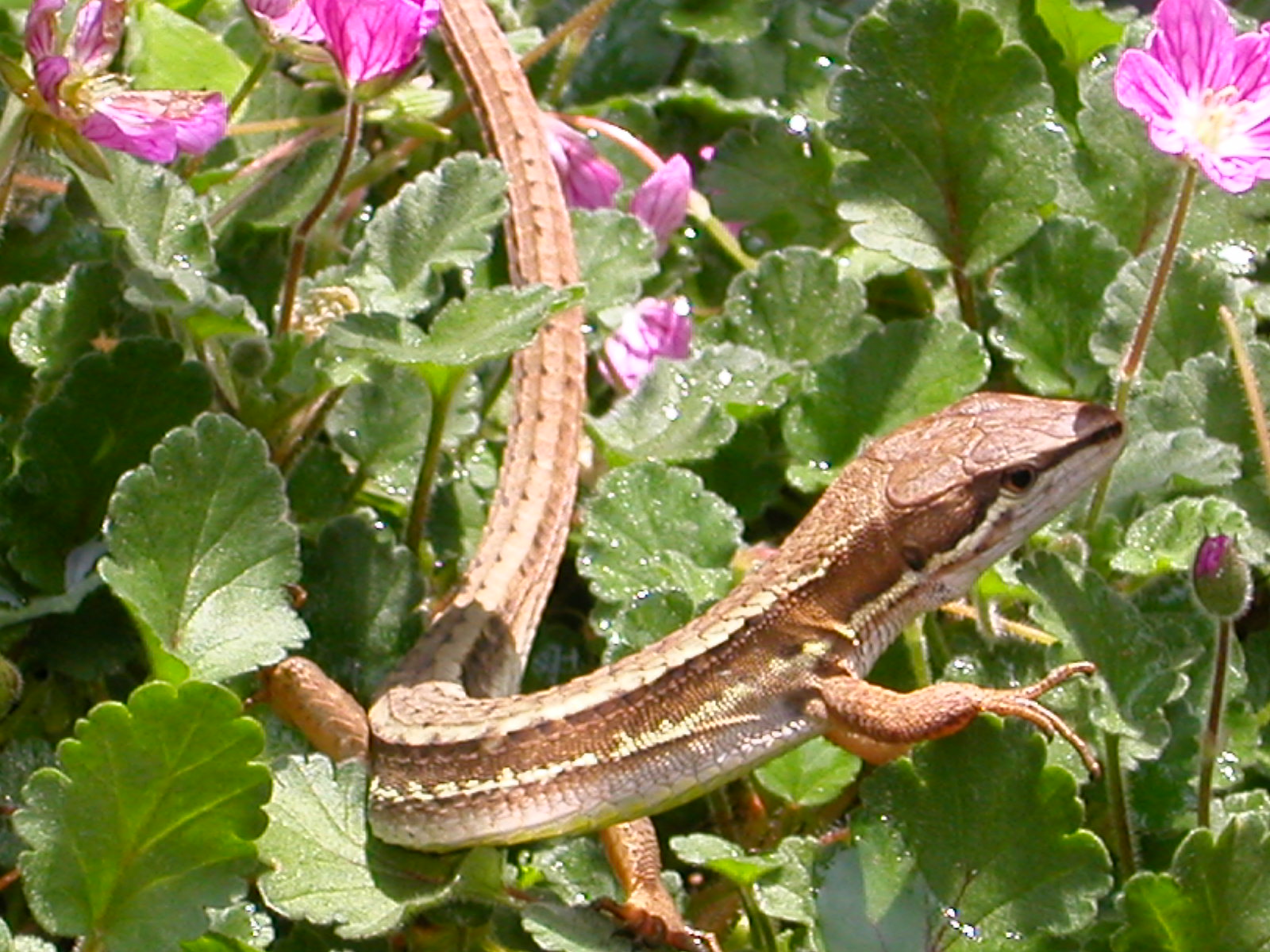 e0033229_2126854.jpg