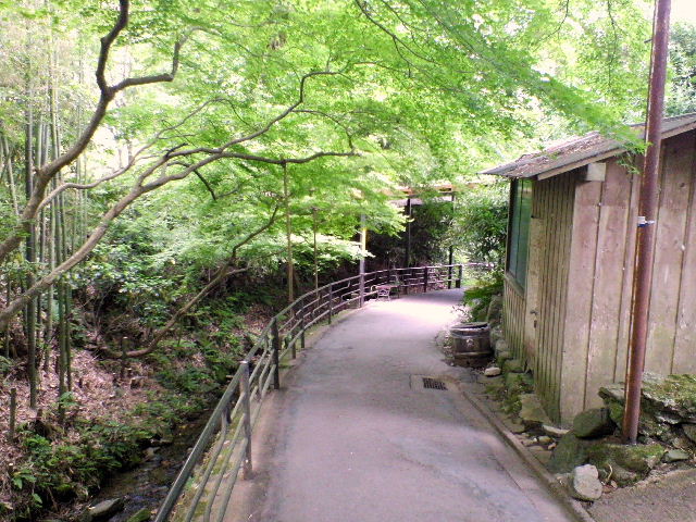 e0064133_0182569.jpg
