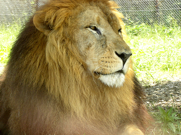 f0039934_23164664.jpg
