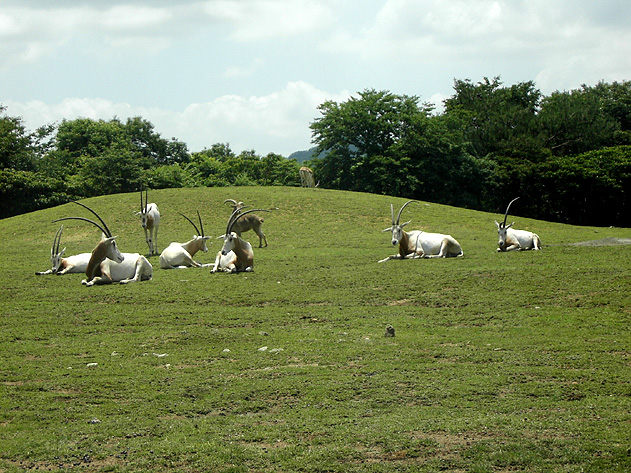 f0039934_23243257.jpg