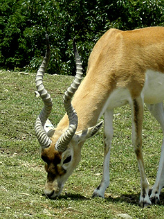 f0039934_23245778.jpg