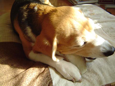 a0042044_1933582.jpg